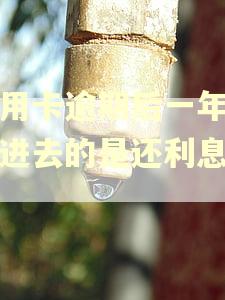 信用卡逾期后一年后还进去的是还利息吗? 信用卡逾期后一年后还进去的是还利息吗?