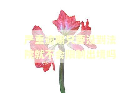严重逾期只要没到法院就不会限制出境吗