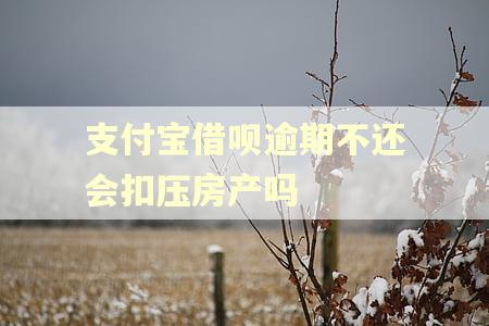支付宝借呗逾期不还会扣压房产吗