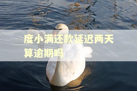 度小满还款延迟两天算逾期吗