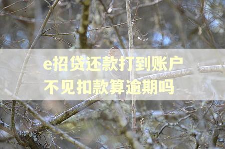 e招贷还款打到账户不见扣款算逾期吗