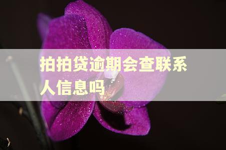 拍拍贷逾期会查联系人信息吗
