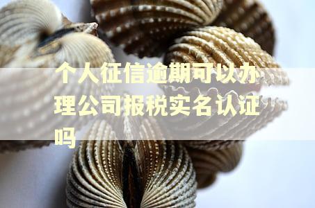 个人征信逾期可以办理公司报税实名认证吗