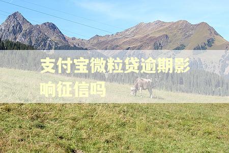 支付宝微粒贷逾期影响征信吗