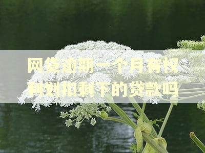 网贷逾期一个月有权利划扣剩下的贷款吗
