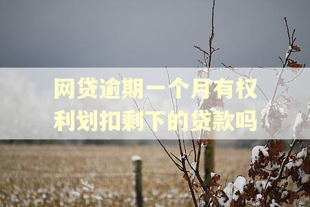 网贷逾期一个月有权利划扣剩下的贷款吗 网贷逾期一个月有权利划扣剩下的贷款吗
