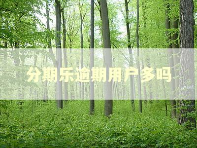 分期乐逾期用户多吗