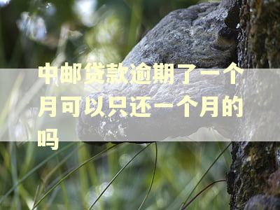 中邮贷款逾期了一个月可以只还一个月的吗