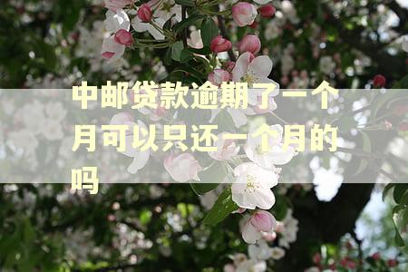 中邮贷款逾期了一个月可以只还一个月的吗