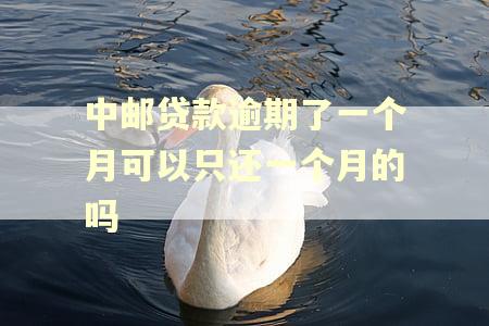 中邮贷款逾期了一个月可以只还一个月的吗 中邮贷款逾期了一个月可以只还一个月的吗