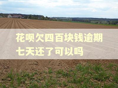 花呗欠四百块钱逾期七天还了可以吗