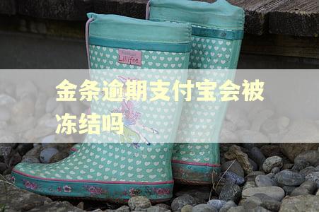 金条逾期支付宝会被冻结吗