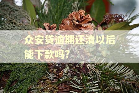 众安贷逾期还清以后能下款吗?