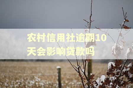 农村信用社逾期10天会影响贷款吗