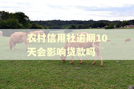农村信用社逾期10天会影响贷款吗