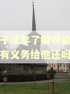 孩子成年了借呗逾期我有义务给他还吗