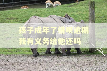 孩子成年了借呗逾期我有义务给他还吗
