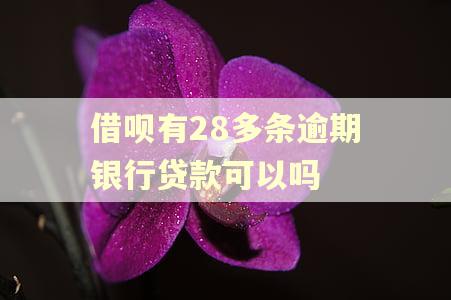 借呗有28多条逾期银行贷款可以吗