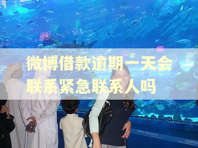 微博借款逾期一天会联系紧急联系人吗