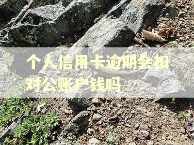 个人信用卡逾期会扣对公账户钱吗 个人信用卡逾期会扣对公账户钱吗