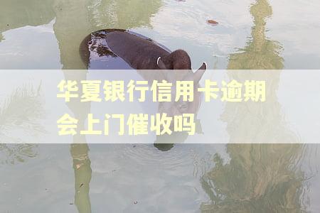 华夏银行信用卡逾期会上门催收吗