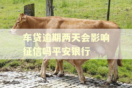 车贷逾期两天会影响征信吗平安银行