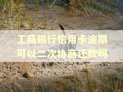 工商银行信用卡逾期可以二次协商还款吗