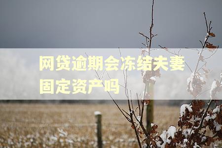 网贷逾期会冻结夫妻固定资产吗 网贷逾期会冻结夫妻固定资产吗