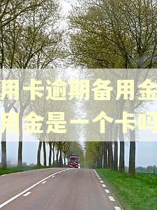 信用卡逾期备用金跟万用金是一个卡吗