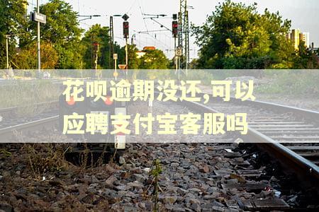 花呗逾期没还,可以应聘支付宝客服吗