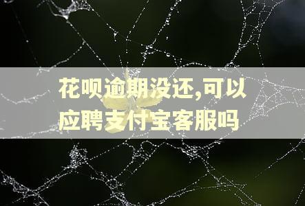 花呗逾期没还,可以应聘支付宝客服吗