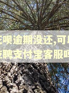 花呗逾期没还,可以应聘支付宝客服吗