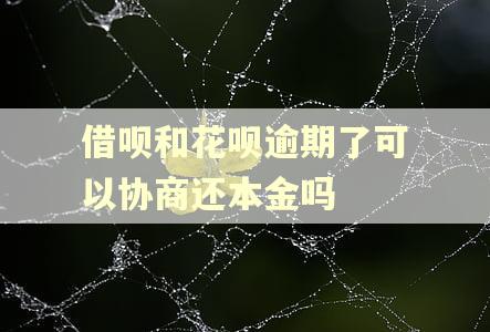 借呗和花呗逾期了可以协商还本金吗