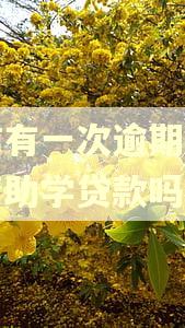 征信有一次逾期可以申请助学贷款吗
