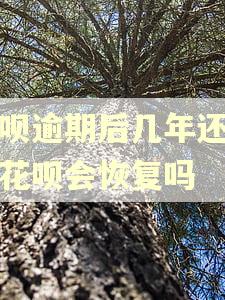 借呗逾期后几年还清了花呗会恢复吗