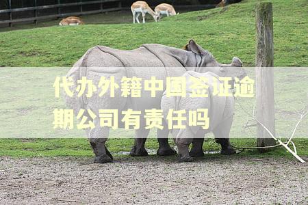 代办外籍中国签证逾期公司有责任吗