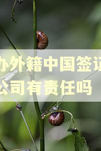 代办外籍中国签证逾期公司有责任吗