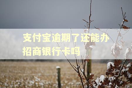 支付宝逾期了还能办招商银行卡吗