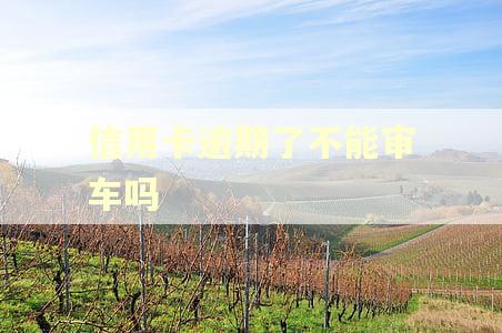 信用卡逾期了不能审车吗