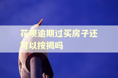 花呗逾期过买房子还可以按揭吗
