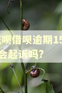 花呗借呗逾期1500会起诉吗?