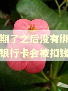逾期了之后没有绑定的银行卡会被扣钱吗