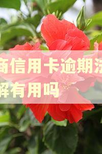 工商信用卡逾期法院调解有用吗