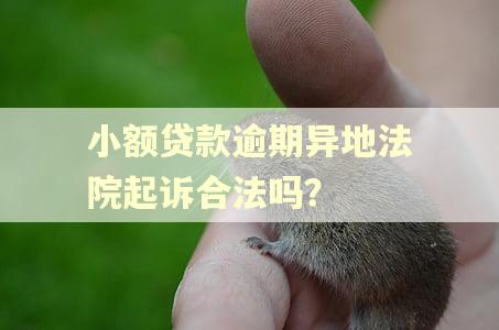 小额贷款逾期异地法院起诉合法吗？