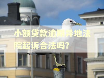 小额贷款逾期异地法院起诉合法吗？