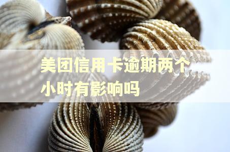美团信用卡逾期两个小时有影响吗