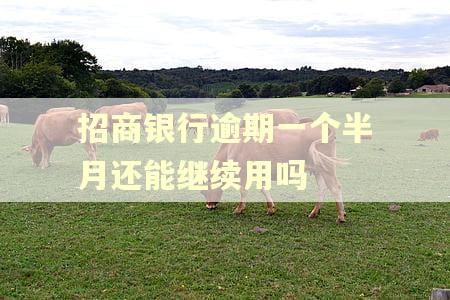 招商银行逾期一个半月还能继续用吗
