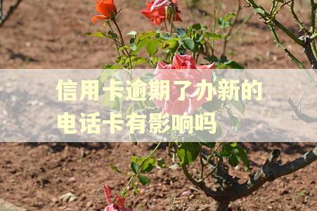 信用卡逾期了办新的电话卡有影响吗