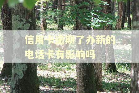 信用卡逾期了办新的电话卡有影响吗