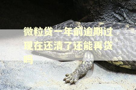 微粒贷一年前逾期过现在还清了还能再贷吗